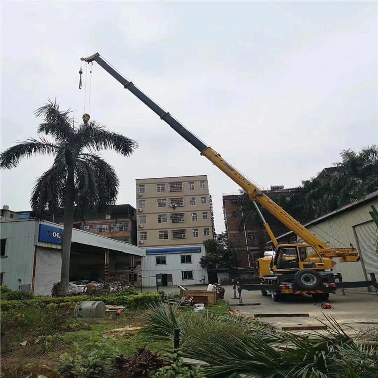 柳北吊车吊大树几种方法